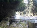 Der Fluss Regen als Symbol f&uuml;r Wellness