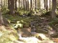 Wanderweg mit Wasser
